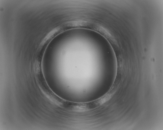 X0000080730164200612151233