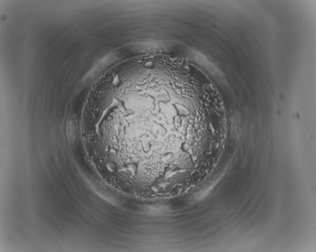 X0000080730165200612151233