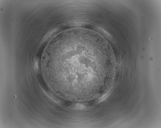 X0000080730166200612151233