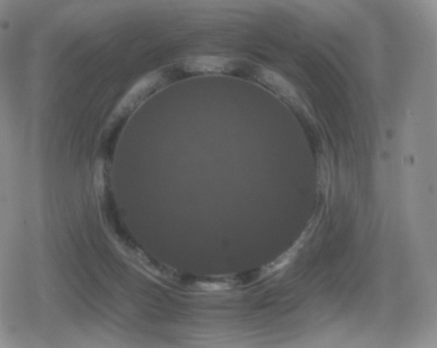 X0000080730167200612151233