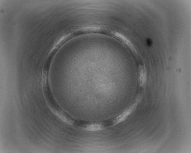 X0000080730168200612151233