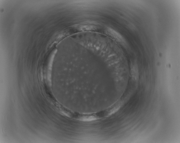 X0000080730169200612151233