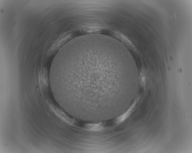 X0000080730170200612151233