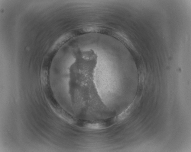 X0000080730171200612151233