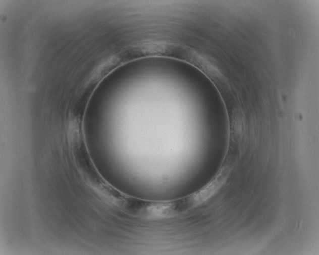 X0000080730172200612151233