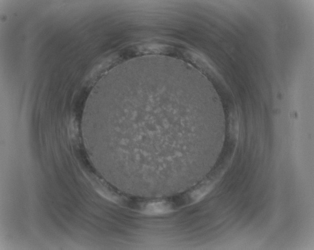 X0000080730173200612151233