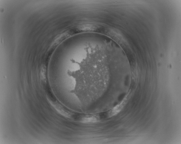 X0000080730175200612151233