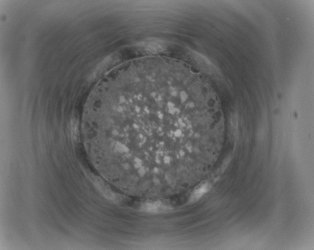 X0000080730177200612151233