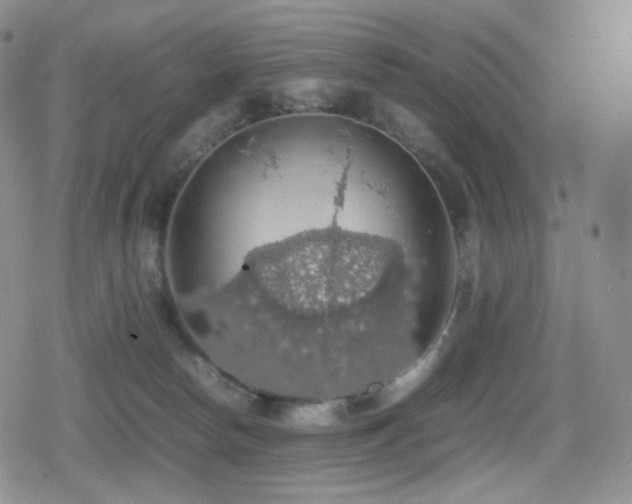 X0000080730178200612151233