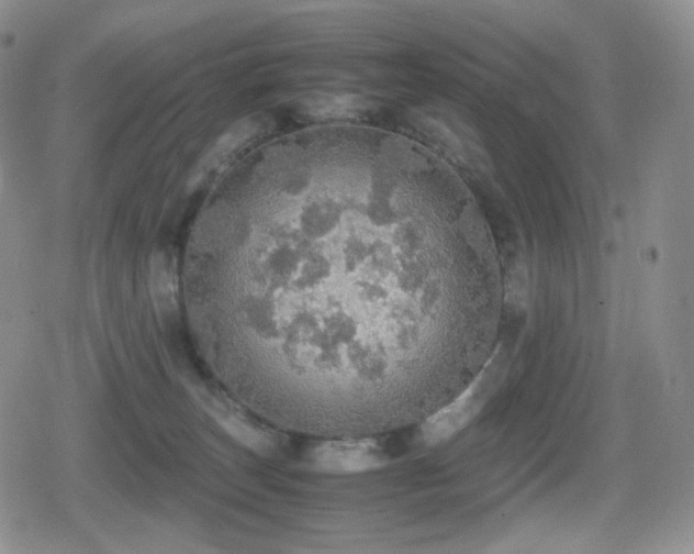 X0000080730179200612151233