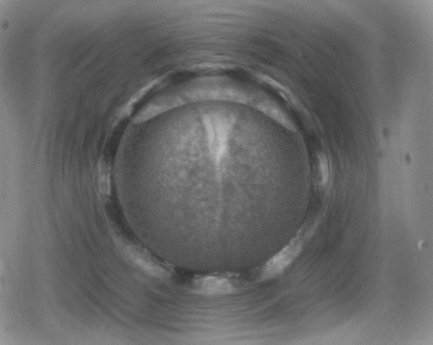 X0000080730180200612151233