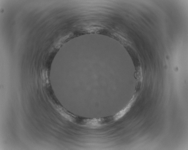 X0000080730182200612151233