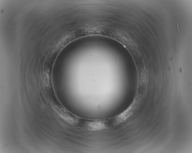 X0000080730183200612151233