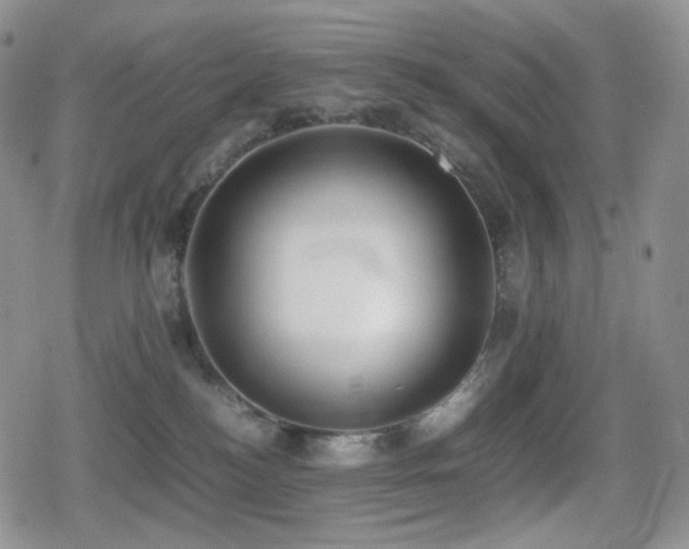 X0000080730184200612151233