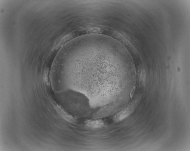 X0000080730185200612151233