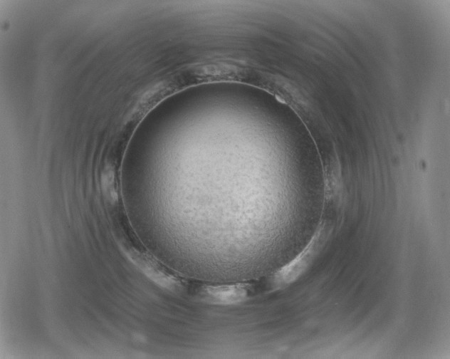 X0000080730187200612151233