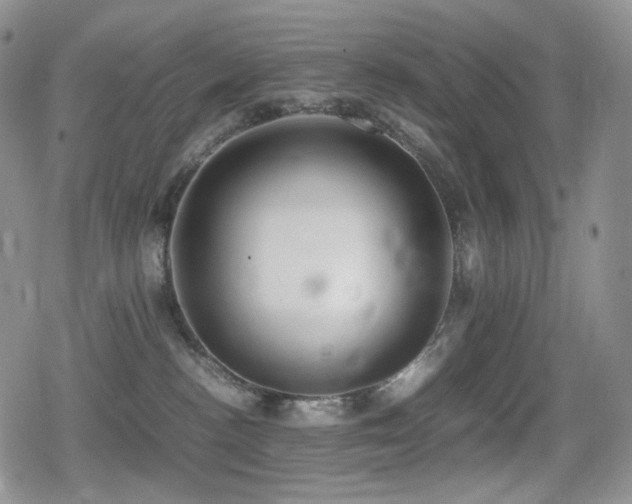 X0000080730188200612151233