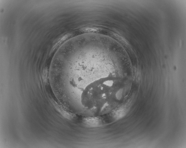 X0000080730189200612151233