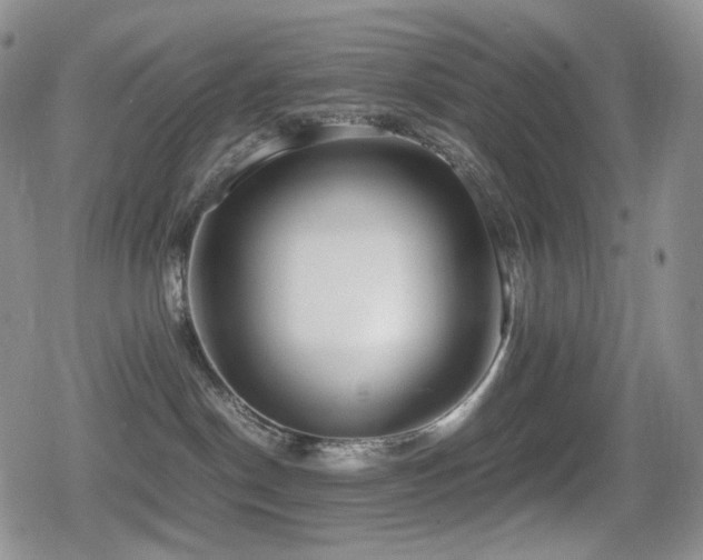 X0000080730190200612151233