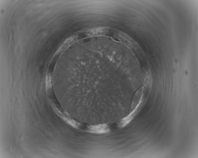 X0000080730191200612151233