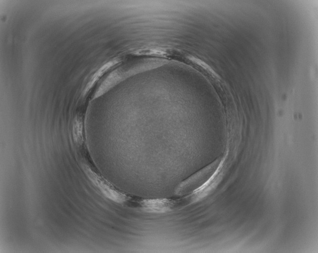 X0000080730192200612151233