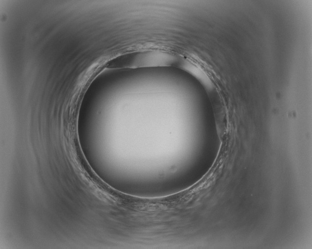 X0000080730193200612151233