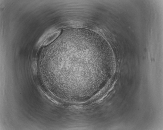 X0000080730194200612151233