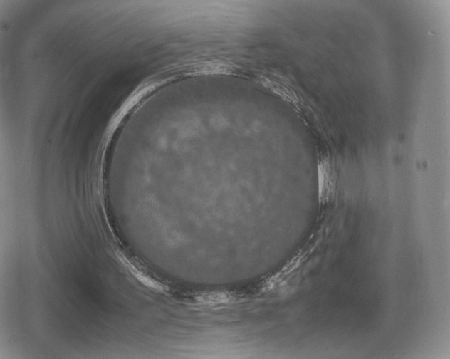 X0000080730195200612151233