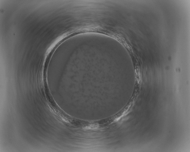 X0000080730196200612151233