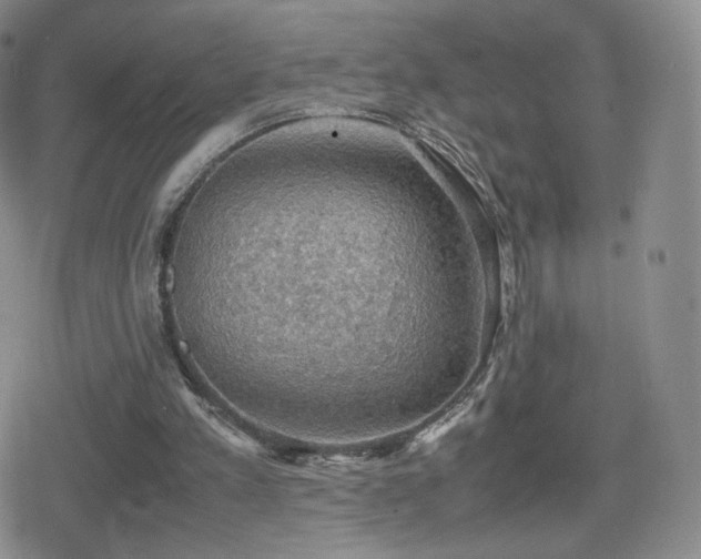 X0000080730197200612151233