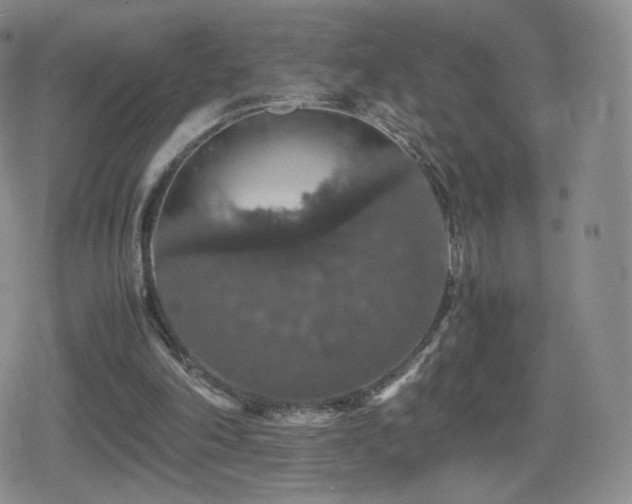 X0000080730198200612151233