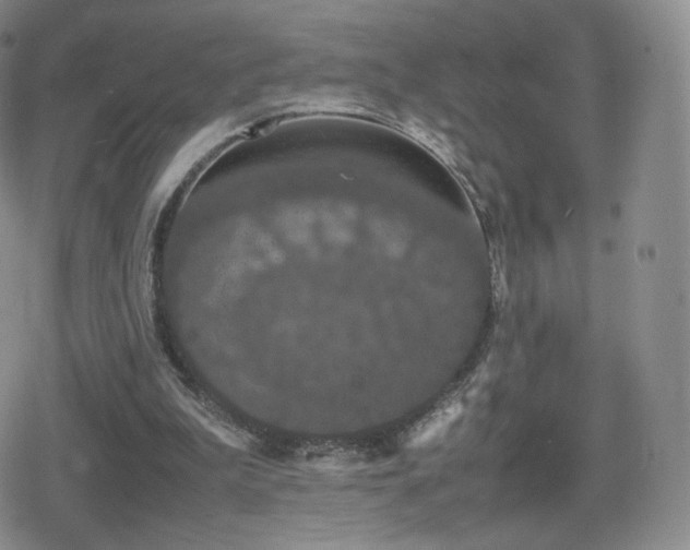 X0000080730199200612151233