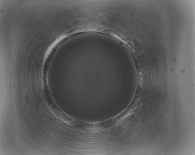 X0000080730200200612151233