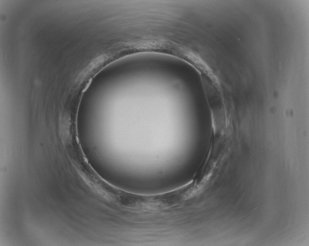 X0000080730201200612151233