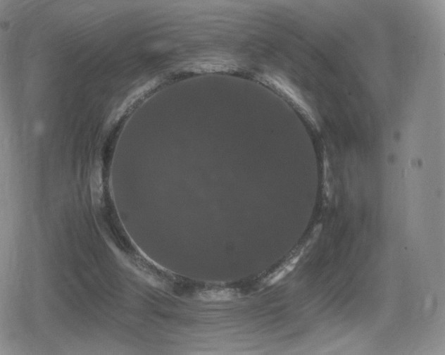 X0000080730202200612151232