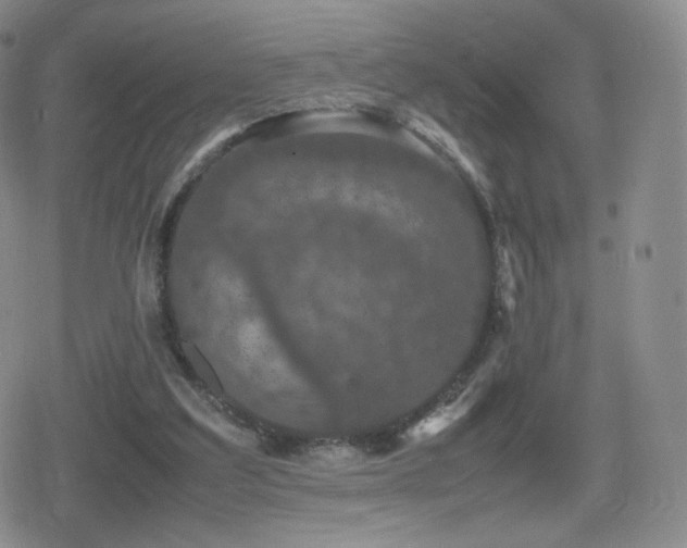 X0000080730203200612151232