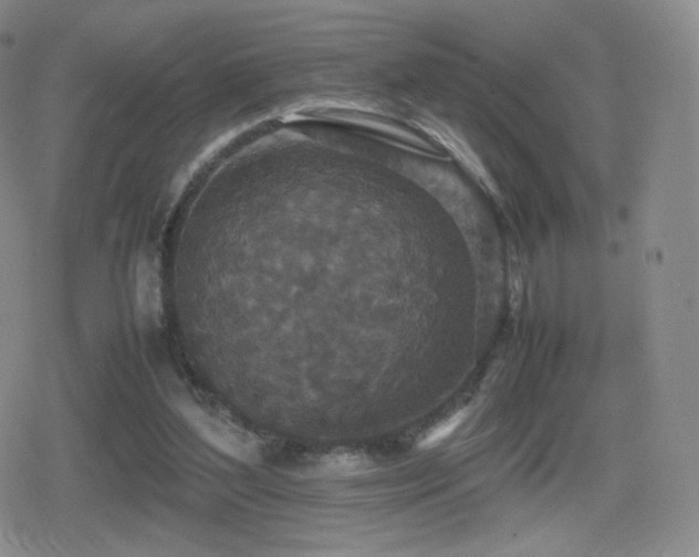 X0000080730204200612151232