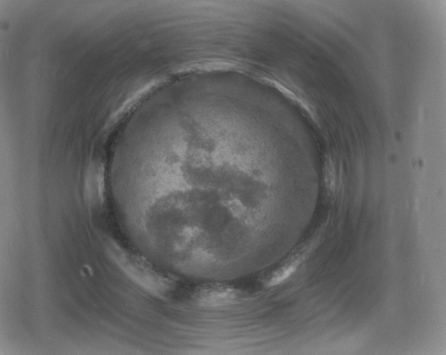 X0000080730206200612151232