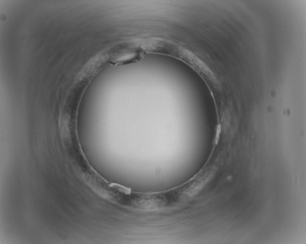 X0000080730209200612151232