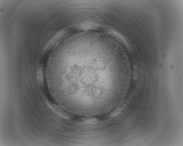 X0000080730210200612151232