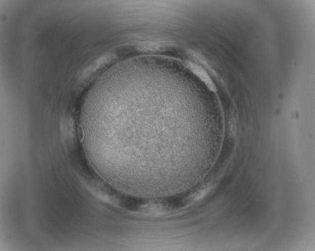 X0000080730211200612151232