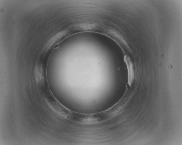 X0000080730212200612151232