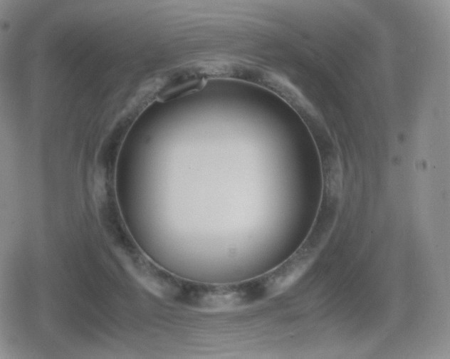 X0000080730213200612151232