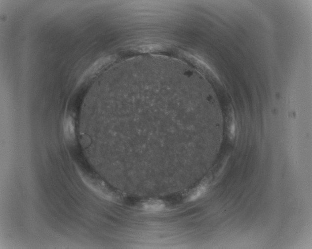 X0000080730214200612151232