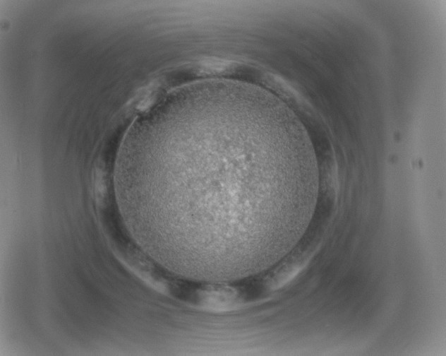 X0000080730215200612151232