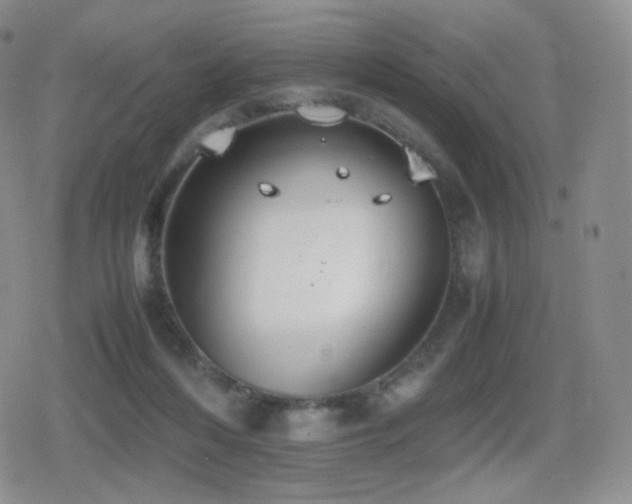 X0000080730216200612151232