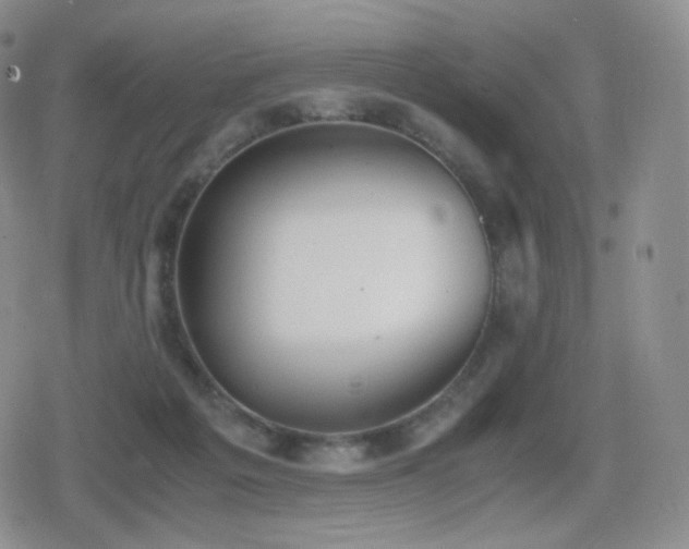 X0000080730217200612151232