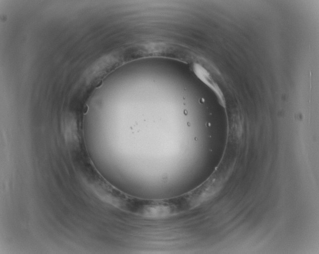 X0000080730220200612151232