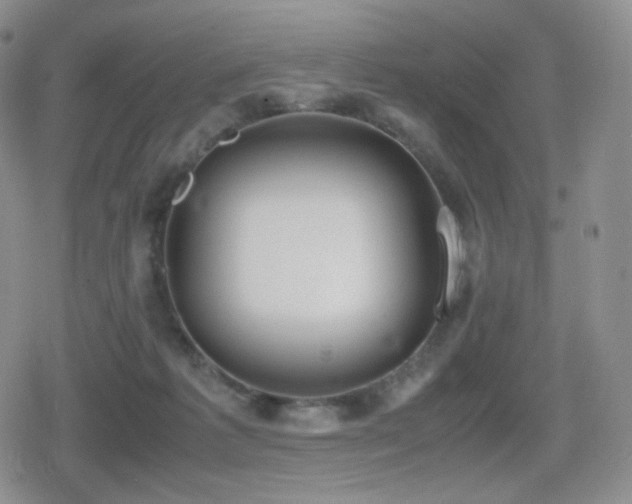 X0000080730221200612151232