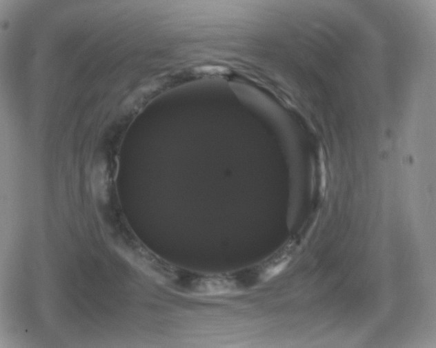 X0000080730223200612151232